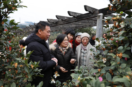参观浏阳市镇头镇好韵味油茶采穗圃基地