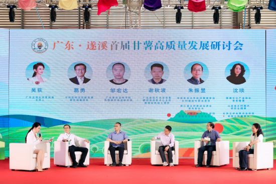 行业专家进行主题研讨