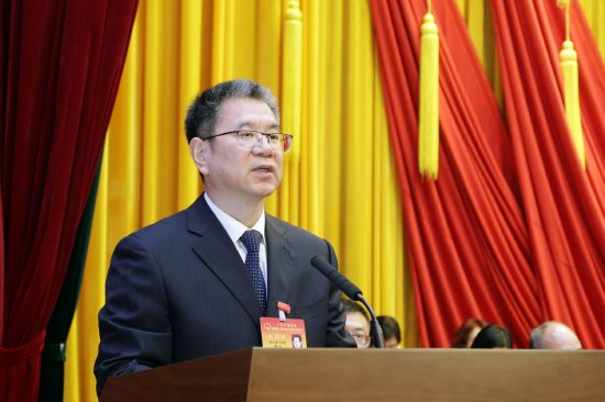 新一任南沙区人大常委会主任 陈宁作表态发言