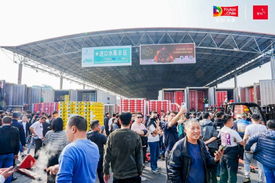 2025年全国首艘“智利车厘子快线”抵达广州南沙港