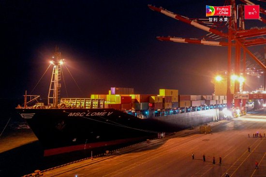 2025年全国首艘“智利车厘子快线”抵达广州南沙港