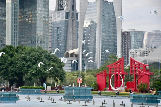 白鹭以珠江新城CBD为背景,飞向了海心沙岛东面的树林。