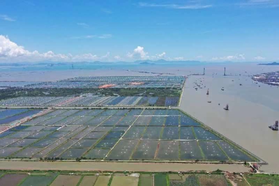 南沙现代渔业产业园