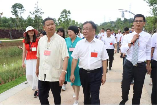 镇人大代表漫步博爱湖