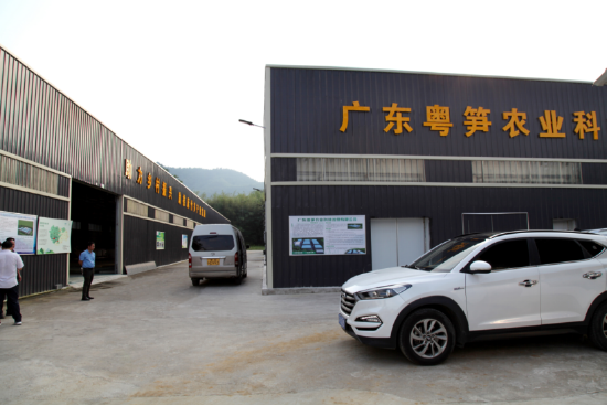 图为英德西牛粤笋农业科技公司麻竹笋加工厂一角