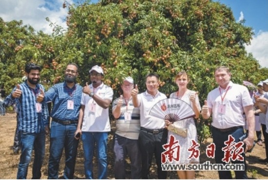 外国友人点赞广东荔枝。郑建斯　摄