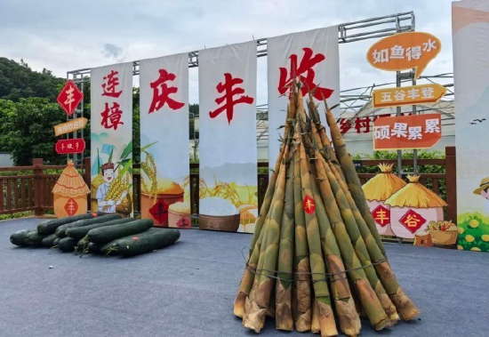图为连樟村农民丰收节活动现场