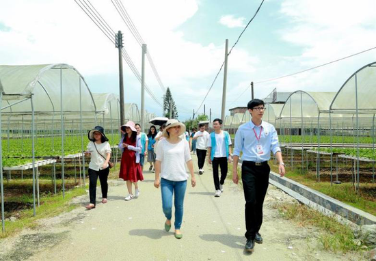 调研团参观惟德现代农业蔬菜种植示范基地 吴超/摄