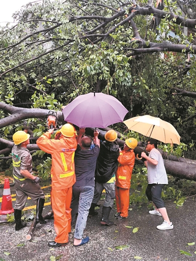 越秀区市政抢险人员清理倒伏树木。广州日报全媒体记者王燕 通讯员胡瀛斌 摄