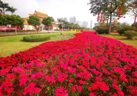 陈少白广场