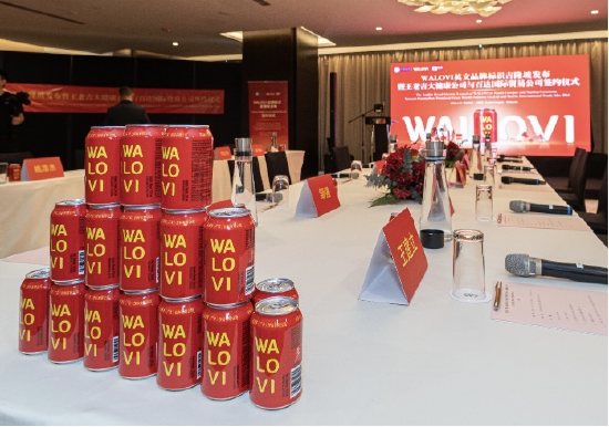 图:马来西亚市场的WALOVI英文品牌标识包装产品