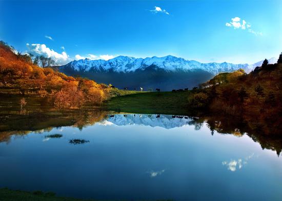 甘南州文化旅游藏中药材招商引资项目推介会成功举办(图2) 甘南招聘_甘南_甘南网