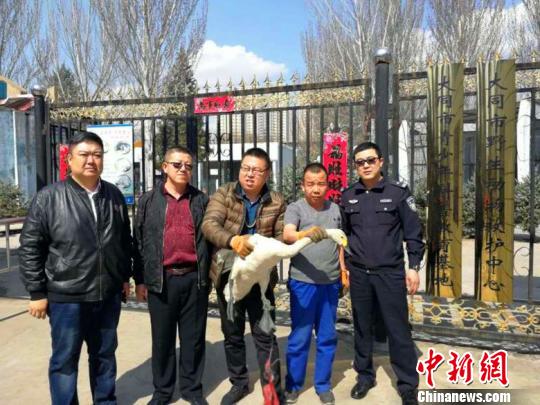 近年来,大同市生态环境得到了有效的修复,得到各种迁徙鸟类的青睐。山西省森林公安局供图