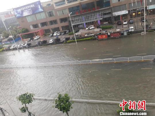 台风带来的暴雨积水　谢剑锋　摄