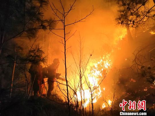 森林消防在火场灭火。 本文图片 大理州森林消防支队提供