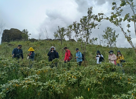 “COP15云南生物多样性主题采访行”——轿子山国家级自然保护区活动现场