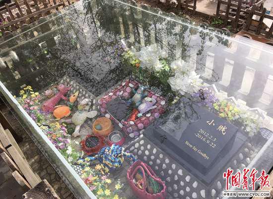 北京六环外一处“宠物墓地”。中国青年报·中青在线记者 玄增星/摄