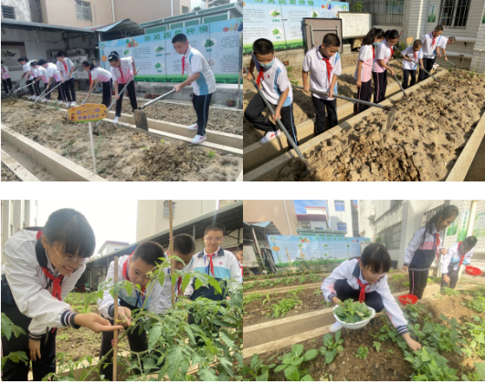 学生在种植基地上课