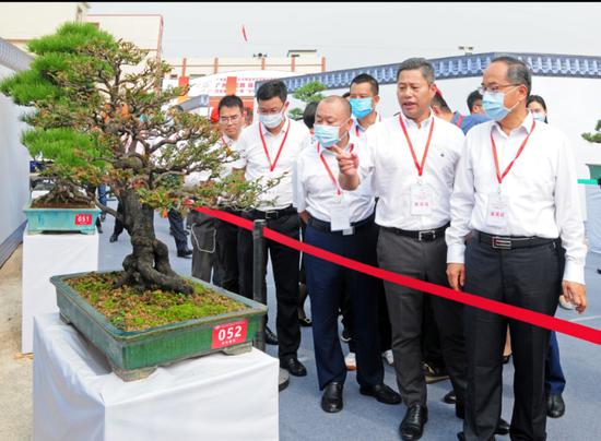 图：姚日文 李沁杰