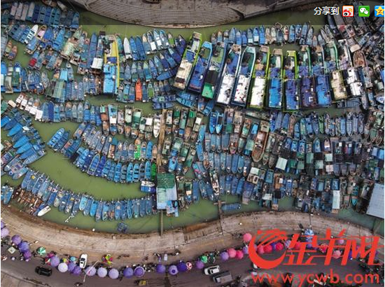 俯瞰澳头港港湾内躲避台风的渔船 记者王磊摄