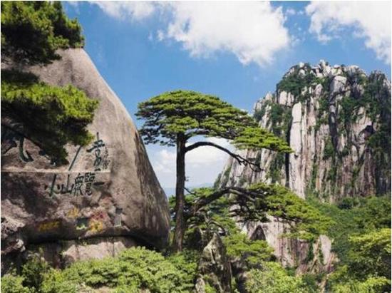 清明访名茶 游江南名山秀水