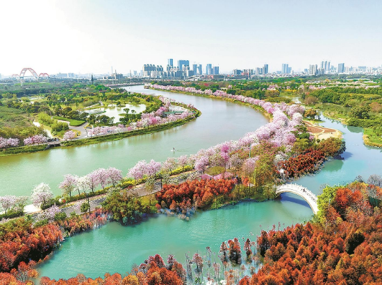 海珠湿地 通讯员供图