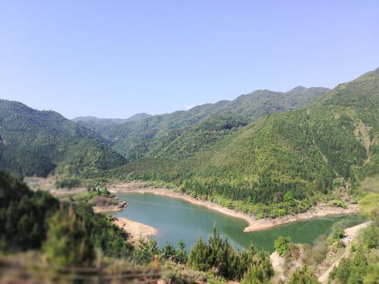 清明节期间的杨村镇陂坑水库