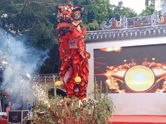传统狮展演《百鸟归巢》