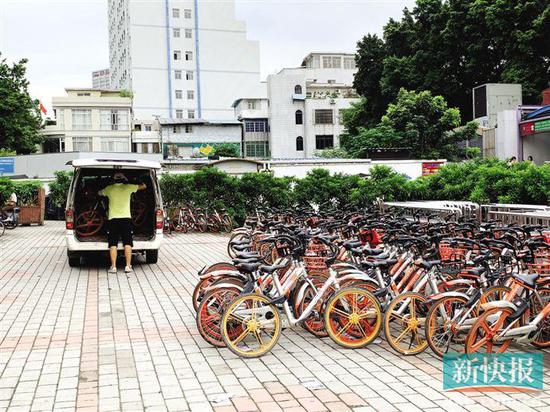 ■地铁客村站B口外，共享单车一排接一排摆放。新快报记者 许力夫/摄