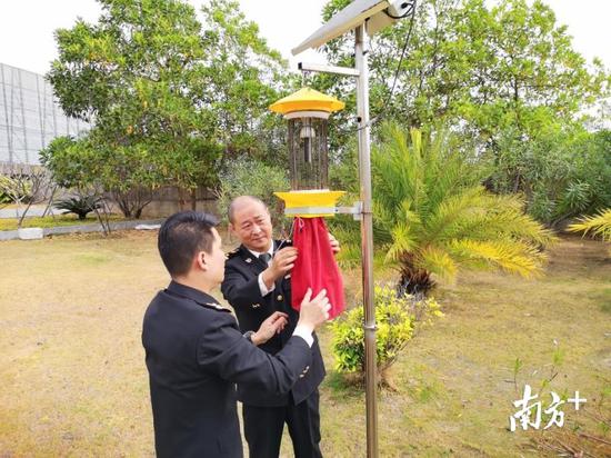 潮阳海关关员在开展草地贪夜蛾监测。汕头海关供图