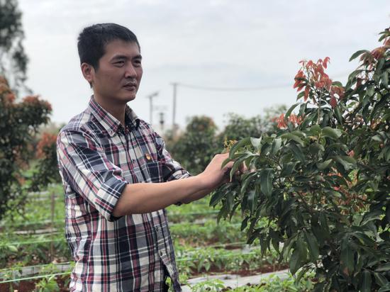 田丰村驻村第一书记翟春华.