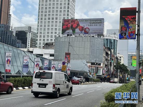 广东荔枝亮相马来西亚吉隆坡。新华网发
