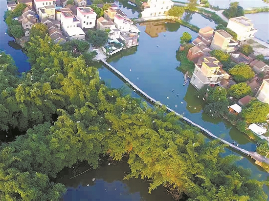 南海农村宅基地规划整齐,周边环境优美