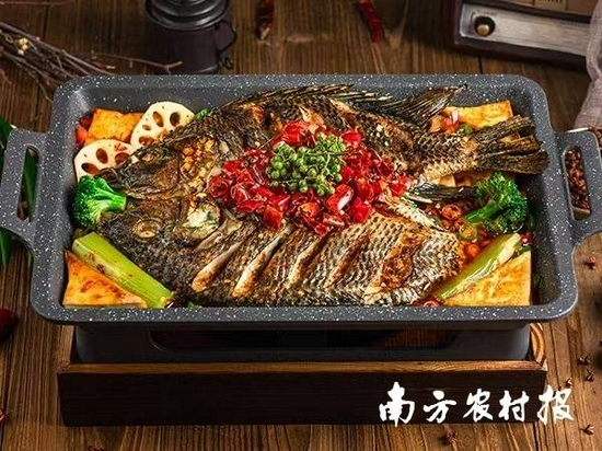 罗非鱼烤鱼 南方农村报 苏若晶 拍摄