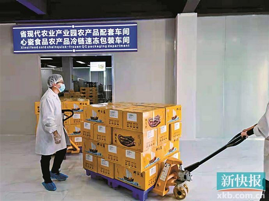 工作人员将狮头鹅(卤鹅预制菜)从车间运出来。