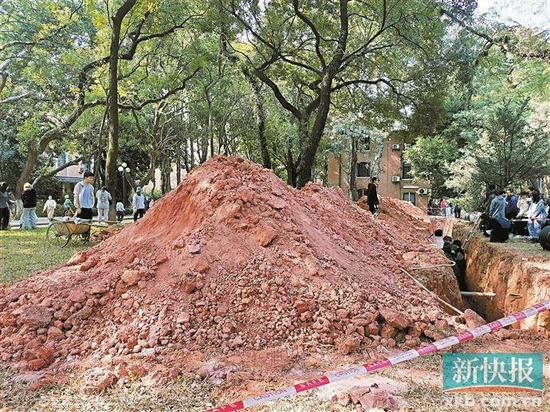 已发掘区域为一条近一人高的壕沟。受访者供图