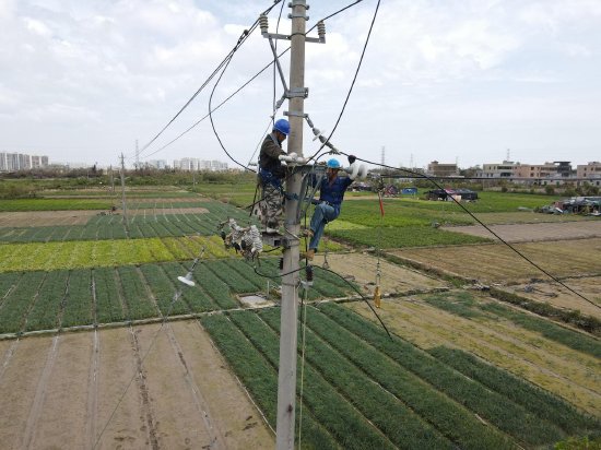 南方电网广东电网公司支援抢修队伍在海口220千伏江东站10千伏出线开展抢修工作（曾钰派 摄影）