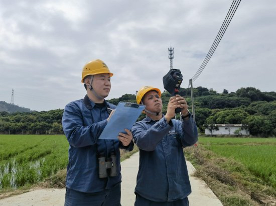 南方电网广东惠州仲恺供电局运维人员加强农业电力巡视工作,全力服务乡村振兴。(杨柳青 摄)