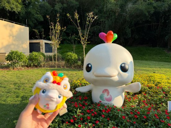 打卡地点:蝴蝶洲公园