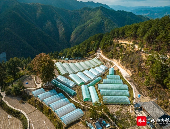 航拍黔东南苗族侗族自治州剑河县南岑村育苗大棚。