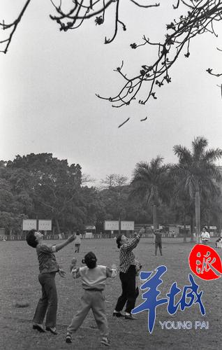 80年代末,广州就是木棉花最“有名气”,在海珠广场,街坊拾跌落的木棉花回家晒干煲祛湿粥