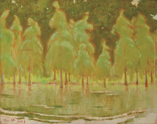 《春天的水杉》58×47cm 布面油画 1979年