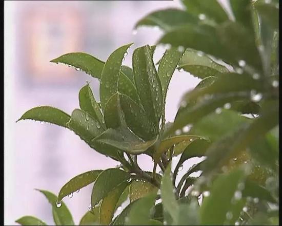 受台风玛莉亚影响 揭阳本周后期将有强降水_新