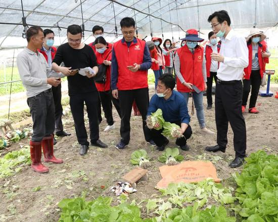 志愿者购买蔬菜,帮助贫困户脱贫。