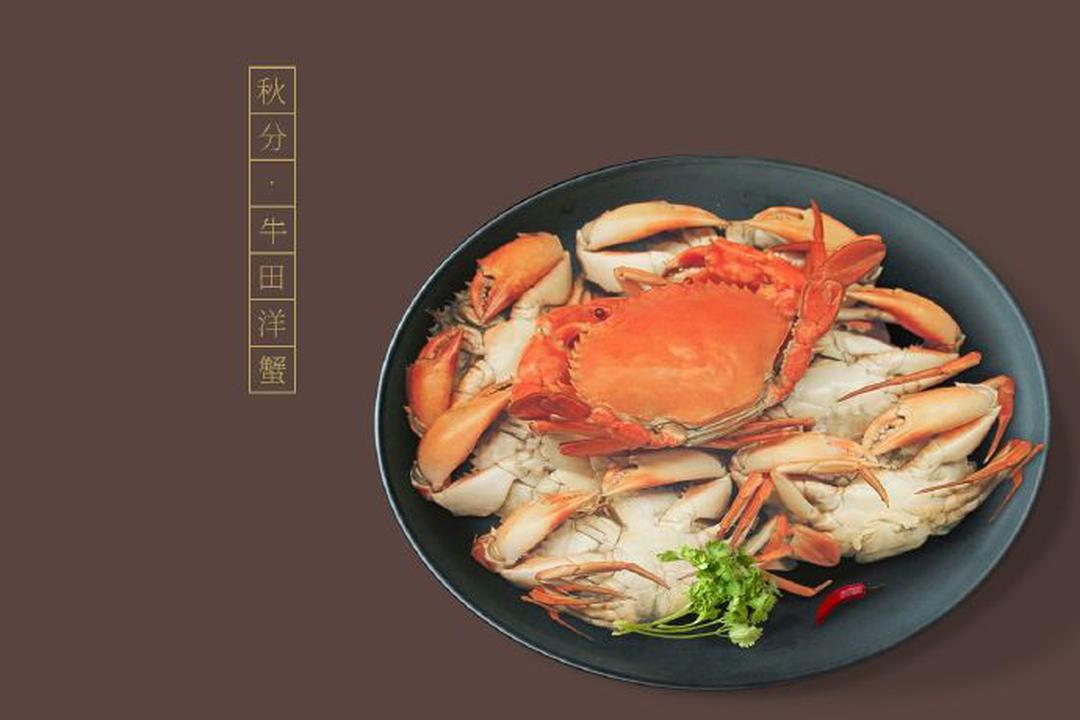秋分海报