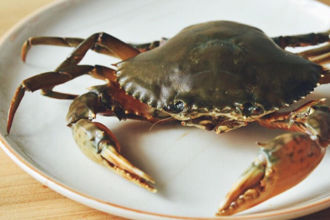 牛田洋膏蟹