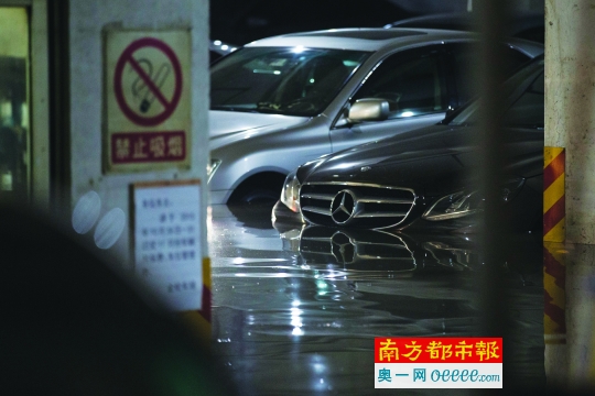 11月12日,金纶大厦停车场内被淹的豪车。
南都记者 黎湛均 摄