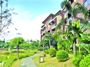 佛山南湖国旅邀你边赏红树林边吃全蚝宴_佛山