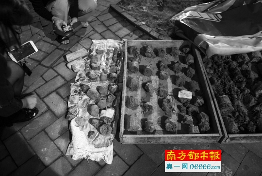●施工方在东莞金域华府小区里钻孔勘探的地质样本。