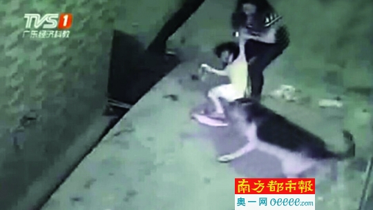 监控视频中可见一只大狗扑咬小女孩。